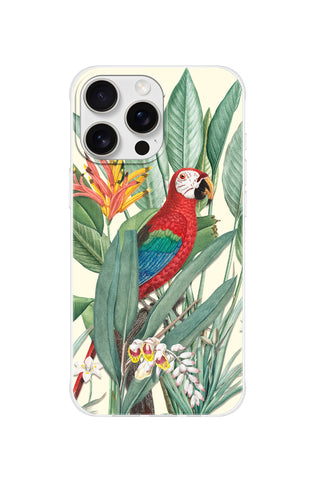 Tropical Macaw