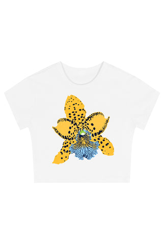 Wild Honey