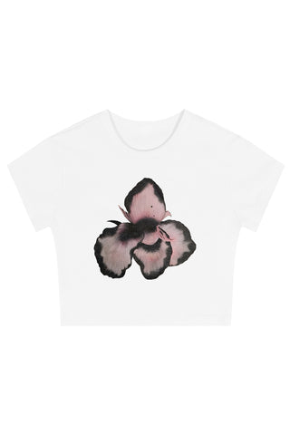 Blush Moth