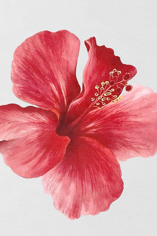 My Aloha
