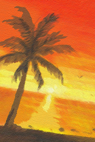 Golden Palm Sunset