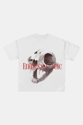 Feline Skull