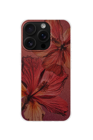 Emberglow Hibiscus