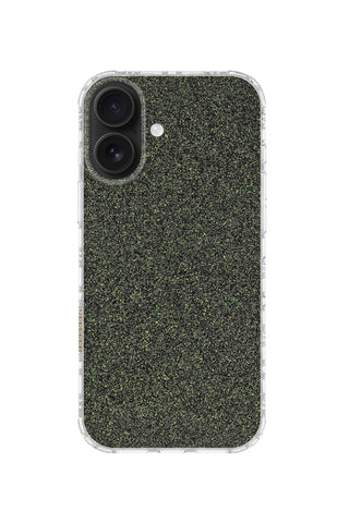 Swamp