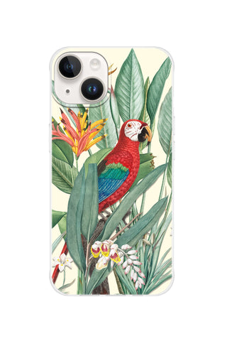 Tropical Macaw