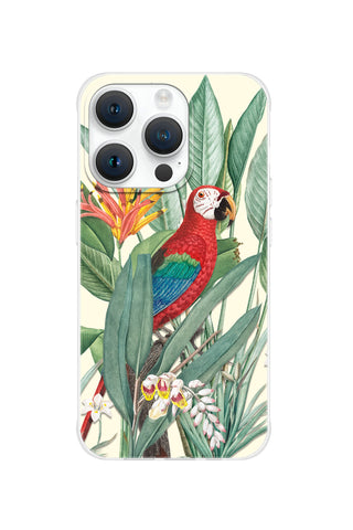 Tropical Macaw