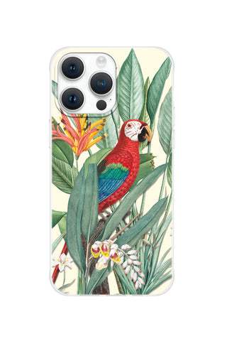 Tropical Macaw