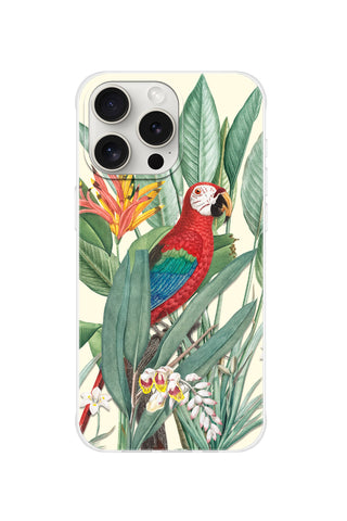 Tropical Macaw
