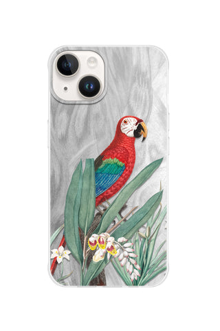 Tropical Macaw