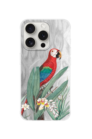 Tropical Macaw
