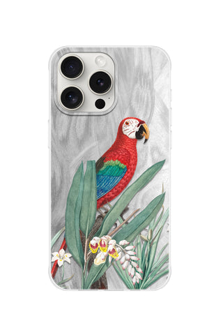 Tropical Macaw
