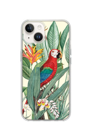 Tropical Macaw
