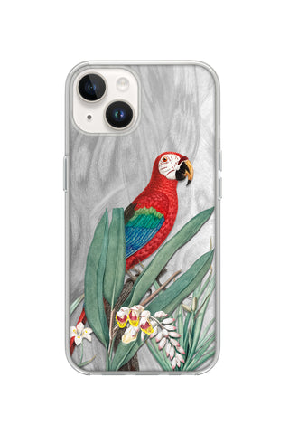 Tropical Macaw