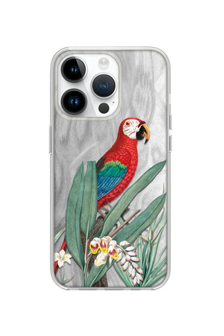 Tropical Macaw