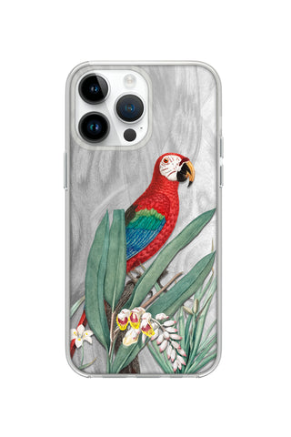Tropical Macaw