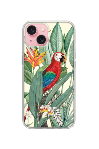 Tropical Macaw
