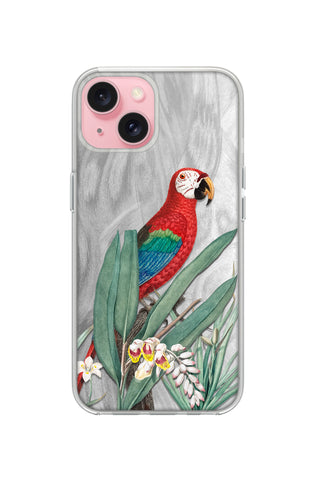 Tropical Macaw