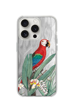 Tropical Macaw