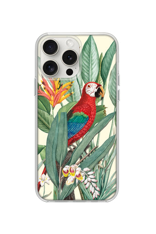 Tropical Macaw