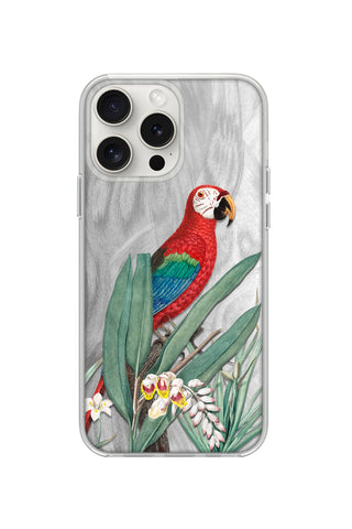 Tropical Macaw