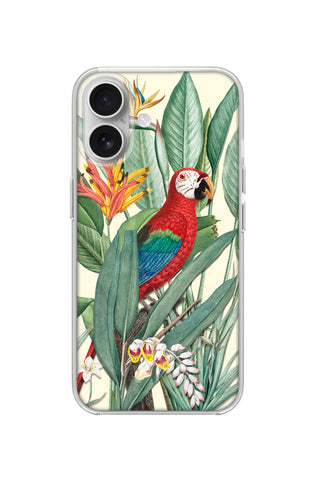 Tropical Macaw