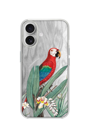 Tropical Macaw