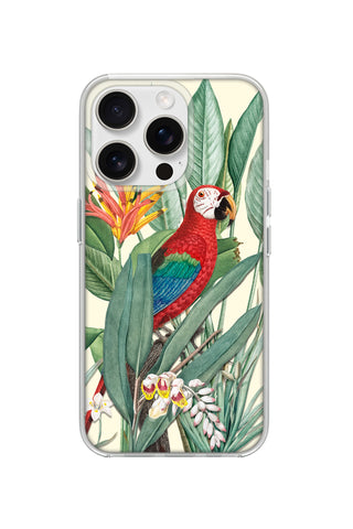 Tropical Macaw
