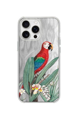 Tropical Macaw