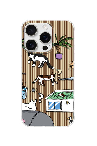 Curious Cats