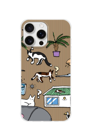 Curious Cats