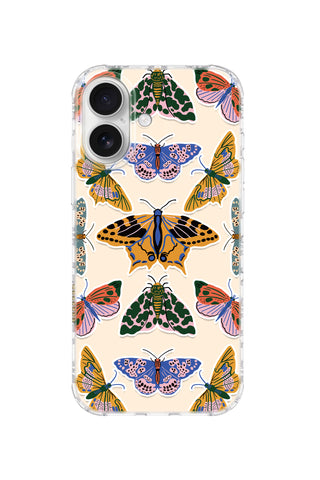 Butterfly Specimen