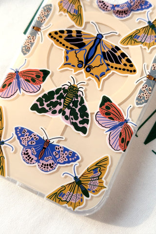 Butterfly Specimen
