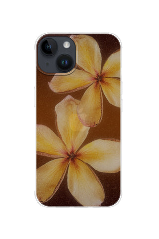 Hawaiian Bloom