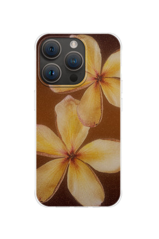 Hawaiian Bloom