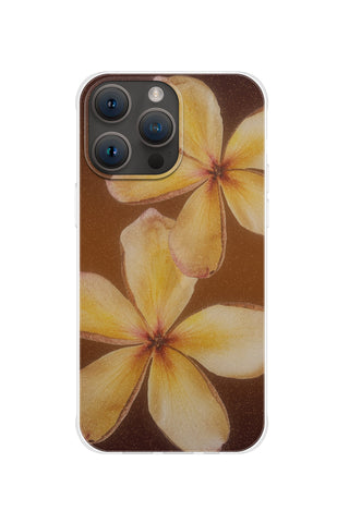 Hawaiian Bloom