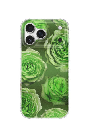 Phantom Green Rose