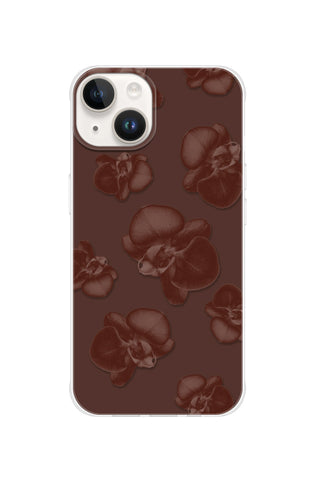Chocolate Orchid