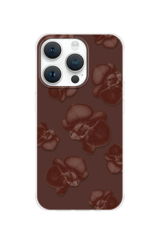 Chocolate Orchid