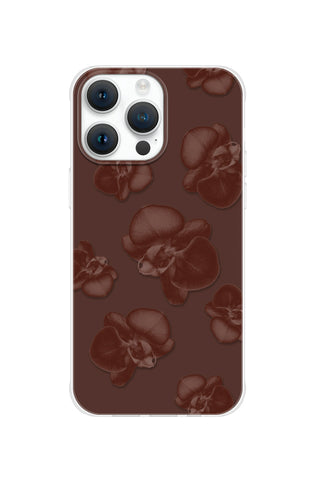 Chocolate Orchid