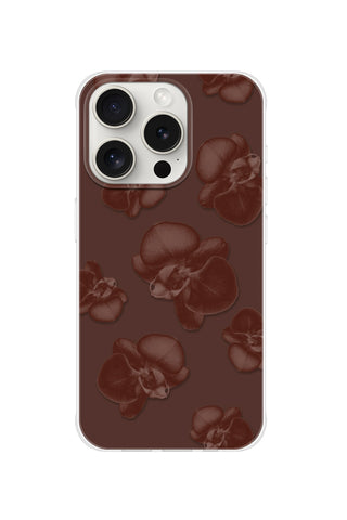 Chocolate Orchid