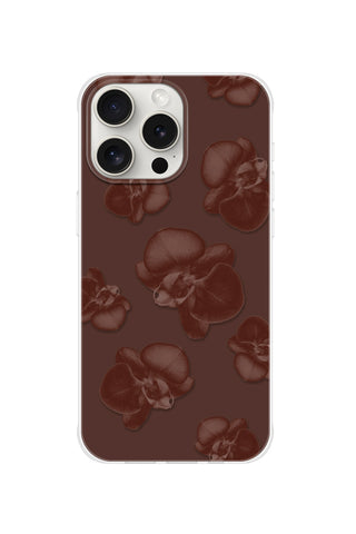 Chocolate Orchid