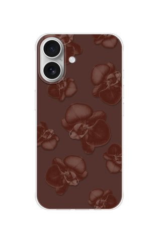 Chocolate Orchid