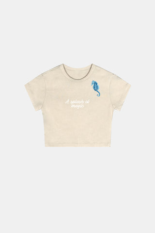 Ocean Dreams - Vintage