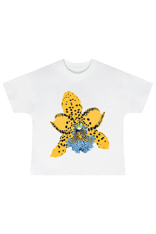 Wild Honey