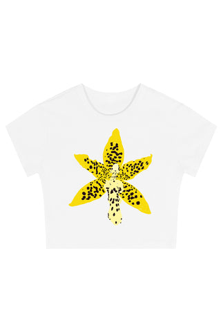Flash Sale - Dance Babe