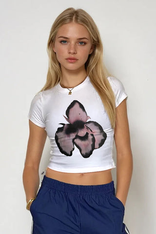 Blush Moth