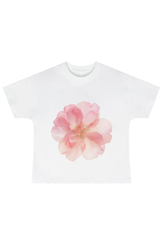 Soft Launch Summer