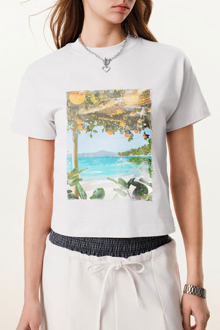 Island Oasis