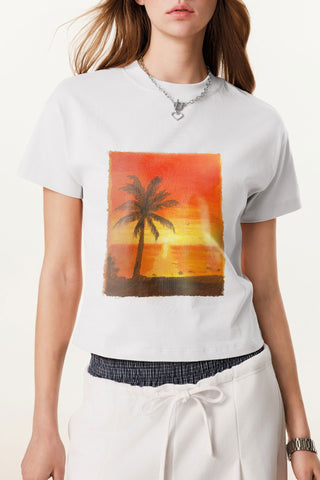 Golden Palm Sunset
