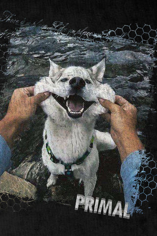 Interference - Vintage